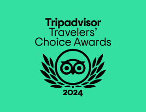 Infocusco Tripadvisor